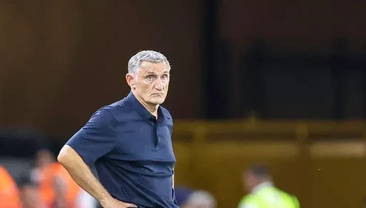 Entrenador observando el partido desde la línea