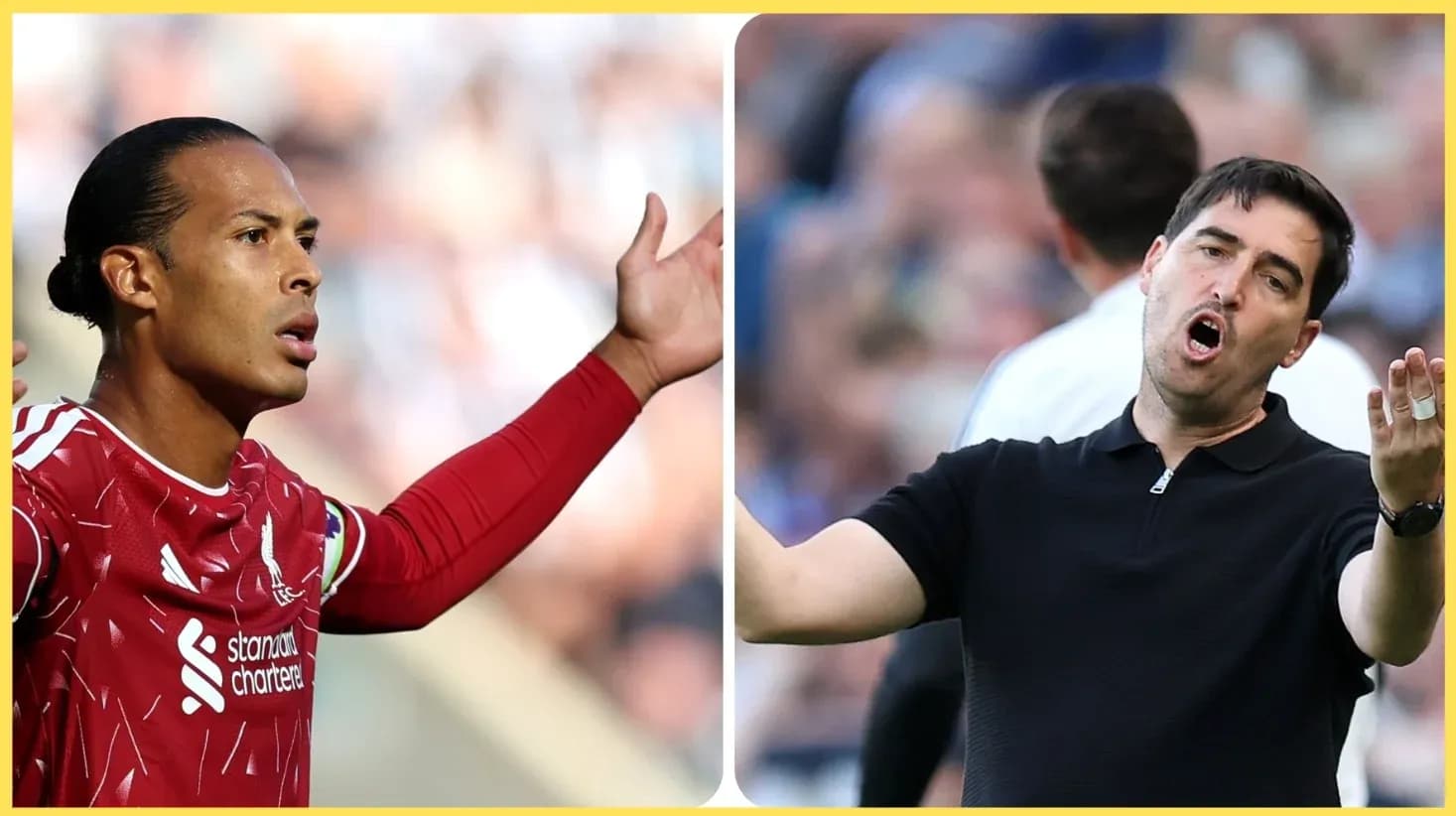 Virgil van Dijk gesturing during match, coach reacting Virgil van Dijk gesturing during match, coach reacting