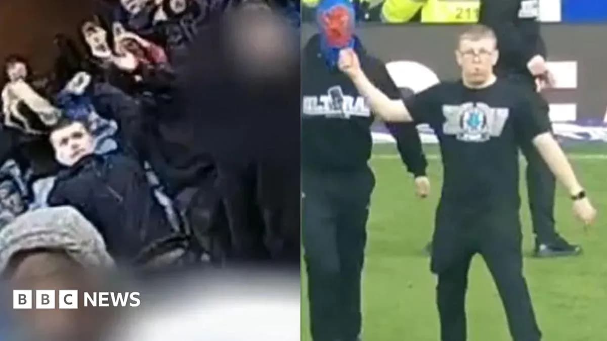 A crowd reacting during a match; a fan on the field A crowd reacting during a match; a fan on the field
