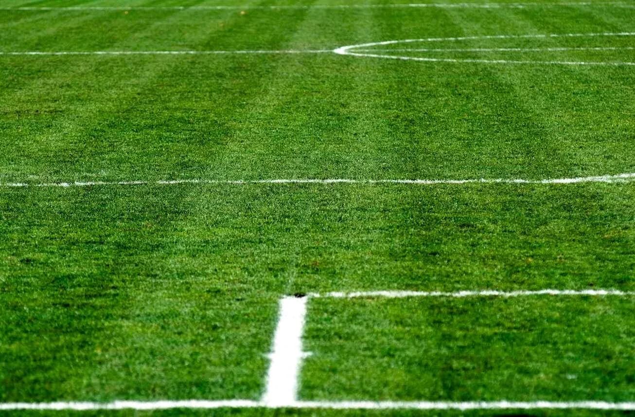 Campo de fútbol con líneas de demarcación Campo de fútbol con líneas de demarcación
