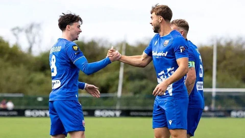 Jugadores celebrando un gol en el campo Jugadores celebrando un gol en el campo